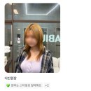 무더운 여름 ☀️ 가벼운 ‘허쉬컷’ 모음집.zip