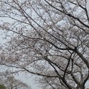 (주)오세요