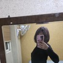 디션