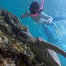 코코세탁소 이미지