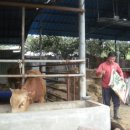 한우물농장 이미지