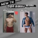 비포렉스