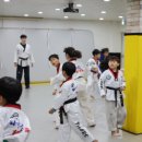 상록태권도 이미지