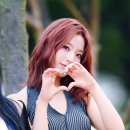 새롬 이미지