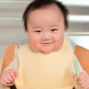 행복한푸드서비스 | 중기이유식 시작 8개월아기 시판이유식 추천 푸드케어 클레