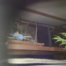 오바네정육점 이미지