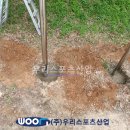 군산제일고등학교 이미지