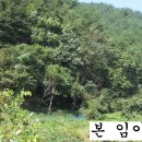 홍천임업 - 1779 | 홍천임업