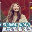 모모유통 이미지