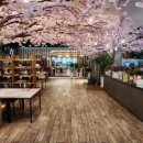 하나푸드1 이미지