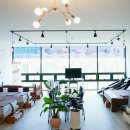 수목토일라이트 이미지