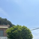 갯마을 선착장 | 보령 맛집 "천북갯마을횟집" | 예약 필수인 보령 천북갯마을 횟집 후기 | 찐맛집 추추추추천 (예약필수*)