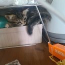 석구농장 이미지