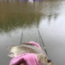 강촌체험장낚시터 이미지