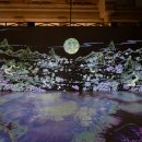 우리서울약국 이미지