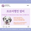 요세푸드(주) | [ 강아지 미국여행 ] 샌프란시스코 강아지동반 호텔 제퍼, Hotel zephyr, 호텔 제피르 부대시설