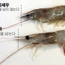 수산진성 이미지