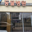 박성식동물병원 네이버블로그