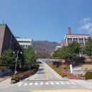 대진대학교 Daum카페