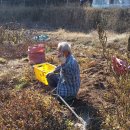 형철농장 이미지