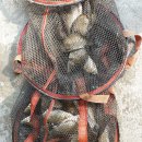 연안낚시터 이미지