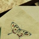 수묵화·사군자·산수화 이미지