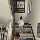 태성태권도체육관 이미지