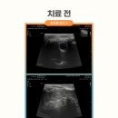 한마음종합동물병원 이미지