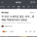 무 닦던 수세미로 발도 쓱싹…방배동 족발집이었다 이미지