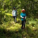 곰치농장 이미지