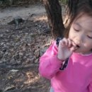 아림농장 이미지