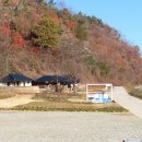 화천포레스트