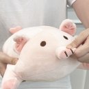 심쿵돼지 이미지