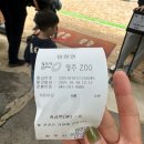 청주제일약국 | 청주 아이와 가볼만한 곳 청주동물원 유의사항 무료입장 후기