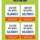 우리목장 | 제주 올패스 24시간 가성비 후기 (스카이워터쇼,우리승마장, 델문도김녕점, 목장밭디)