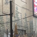 패밀리피자치킨 | 피자키친 코엑스점 :: 패밀리 레스토랑 분위기 양식 맛집 웨이팅 후기 | 아보카도 피자 빠네파스타 메뉴...