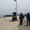 해송과 바다 이미지