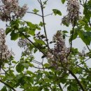 베니키아호텔여수 이미지