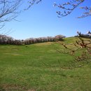 한우목장 이미지