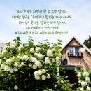 영국마을 이미지