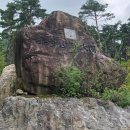 상상수목원 이미지