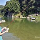 동강의낙원 이미지