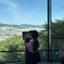 큰나무미디어 | 대전 아이와 가볼만한곳, 보문산 큰나무전망대 주차, 가는 길, 방문 후기