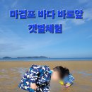 태안안면도아이랑키즈독채오션뷰풀빌라 이미지