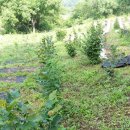 동촌농장 이미지