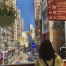 홍문가 | Hong Kong (1)