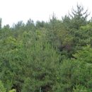 도순동-2 이미지