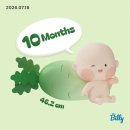 (주)엘에스씨푸드 이마트파주 | 이제 진짜 막달이다! 임신 36주차 ~ 38주차! 제왕 D-5일, 출산가방, 수유브라, 아웃백 씨즐링 브라우니