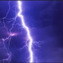 번개반점 이미지