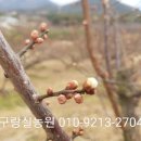 진농원 이미지